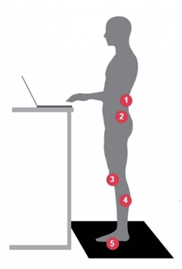 Ergonomické rohože znižujú napätie v najnamáhanejších častiach tela.